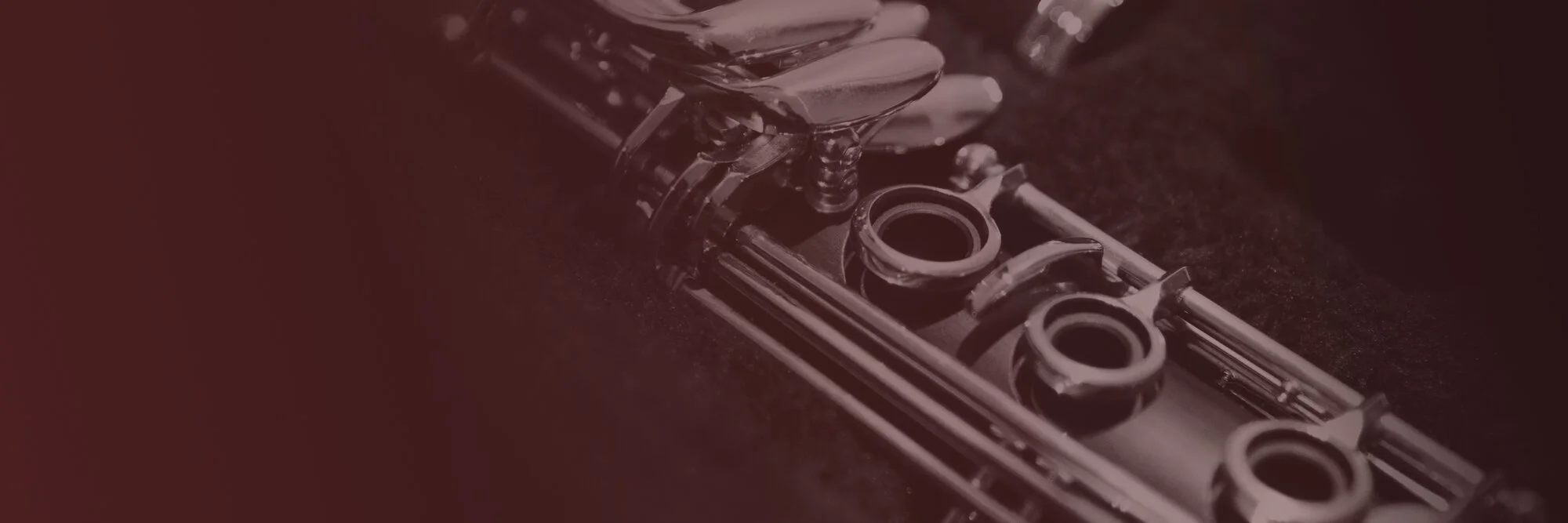 Cinematic Brass and Woodwinds VST - Berlin Woodwinds Specialist Bundle